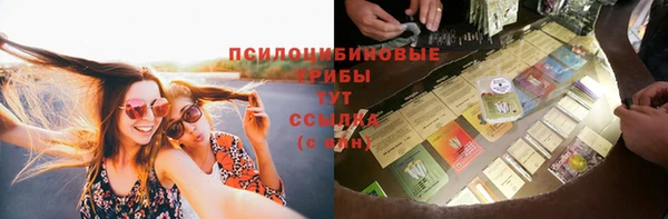 мяу мяу мука Апатиты